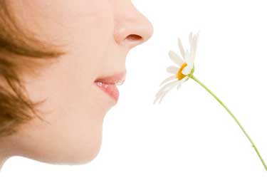 Höcker an der Nase abschleifen bzw. entfernen Garbsen